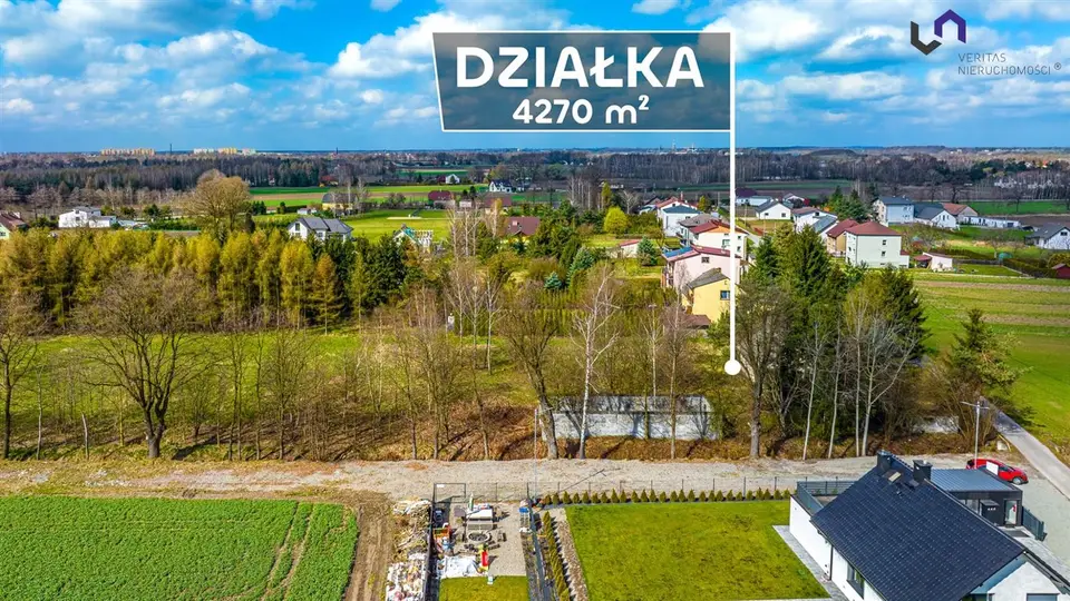 Zdjęcie 8