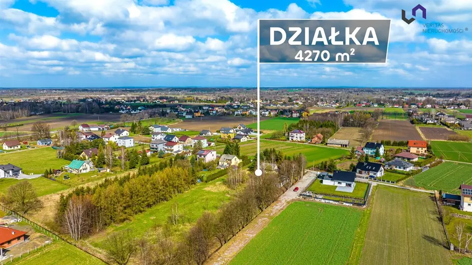 Zdjęcie 9