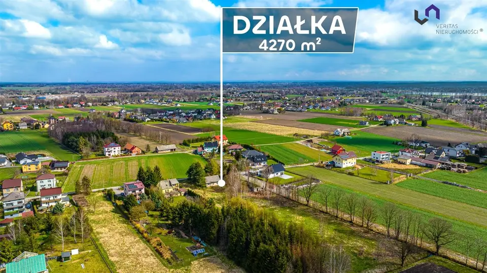Zdjęcie 10