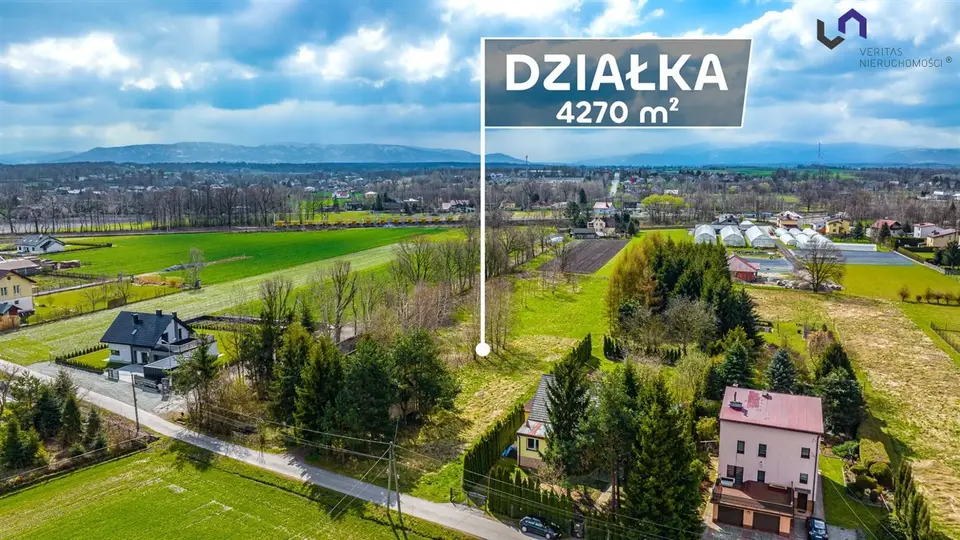 Zdjęcie 11