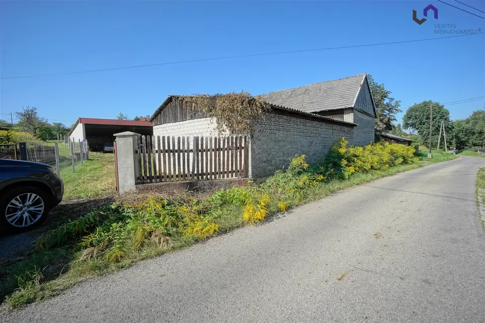 Zdjęcie 12