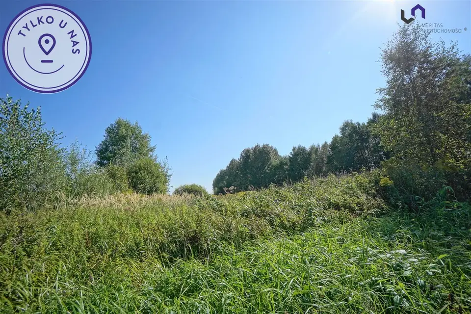 Działka rolna 4 731 m², Dąbrowa Górnicza, Błędów