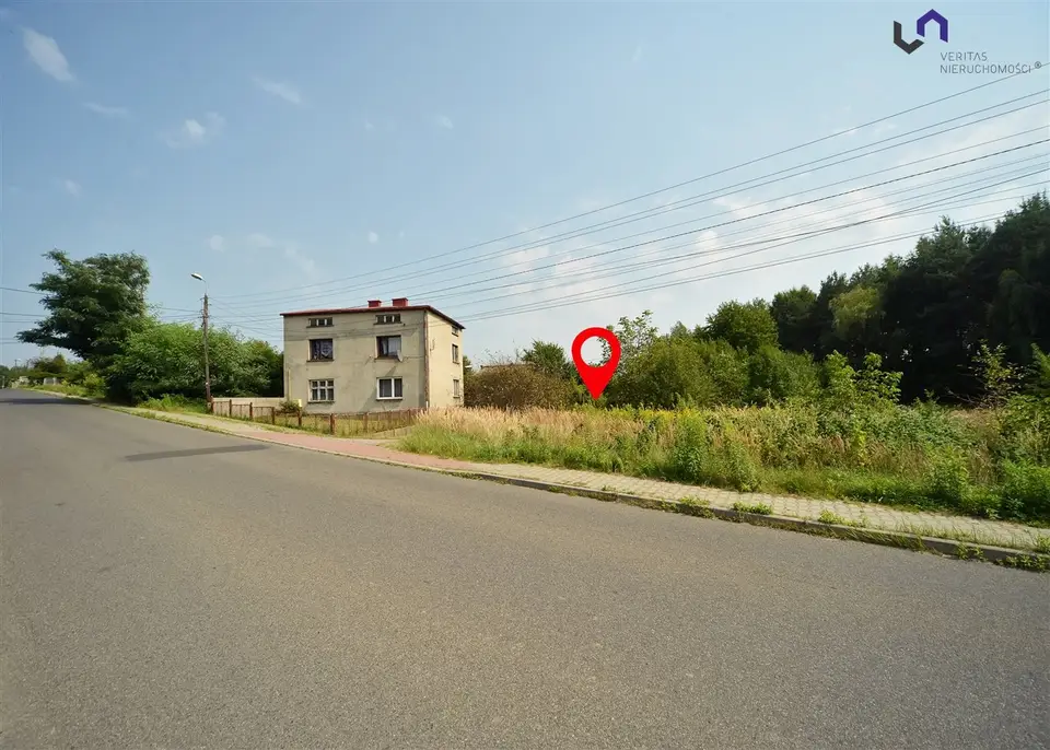Zdjęcie 13