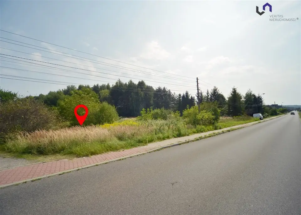 Zdjęcie 14