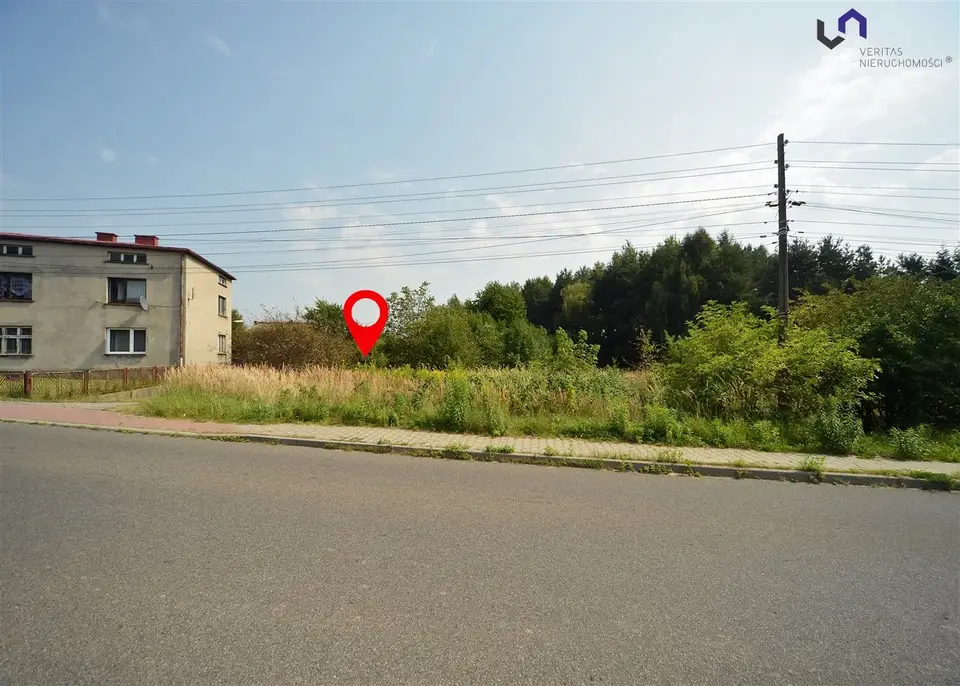 Zdjęcie 15