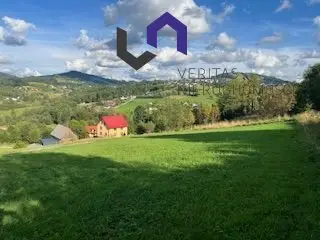 Zdjęcie 2
