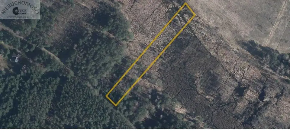 Działka leśna 3 000 m², Kąty-Miąski