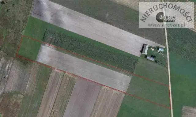 Działka rolna 1,9 ha, Lasomin