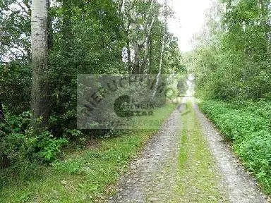 Działka budowlana 9 983 m², Olesin