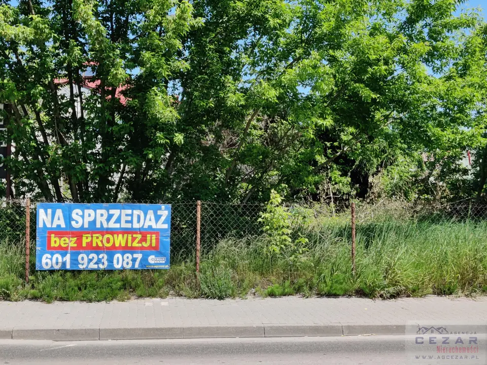 Zdjęcie 2