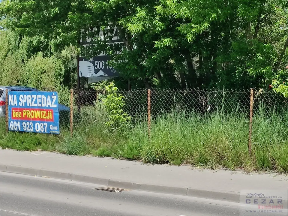 Zdjęcie 3