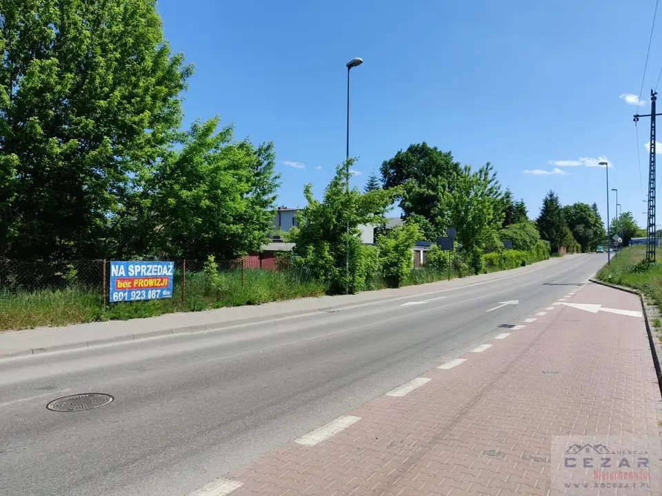 Zdjęcie 5