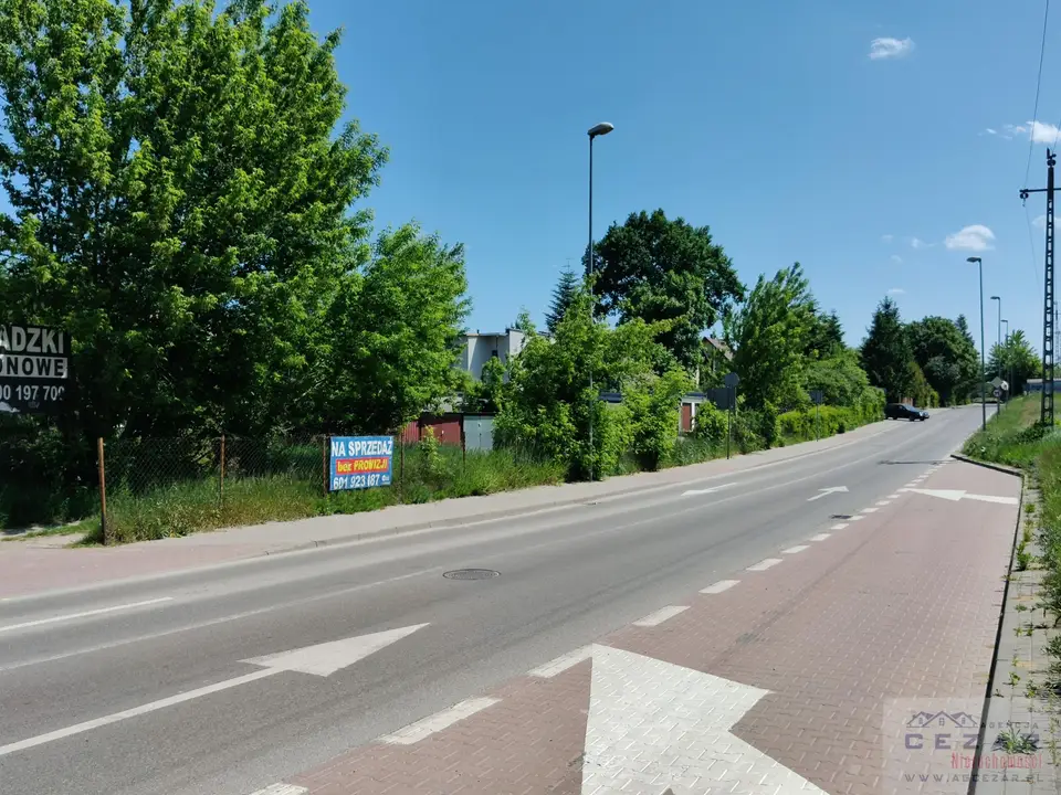Zdjęcie 6