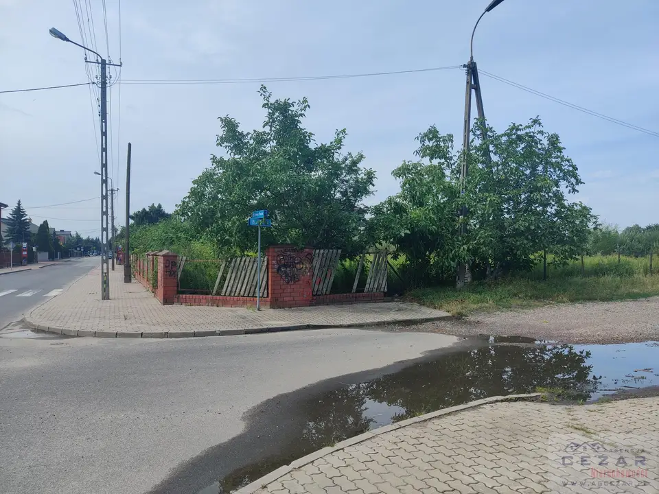 Zdjęcie 4