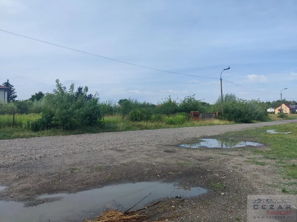 Zdjęcie 6