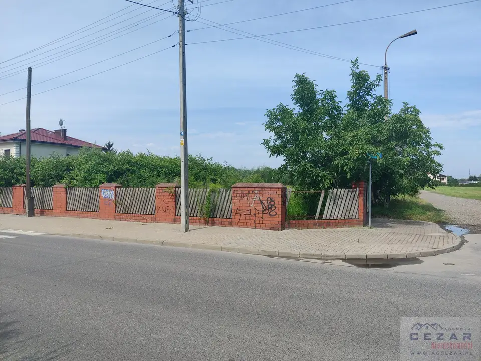 Zdjęcie 8