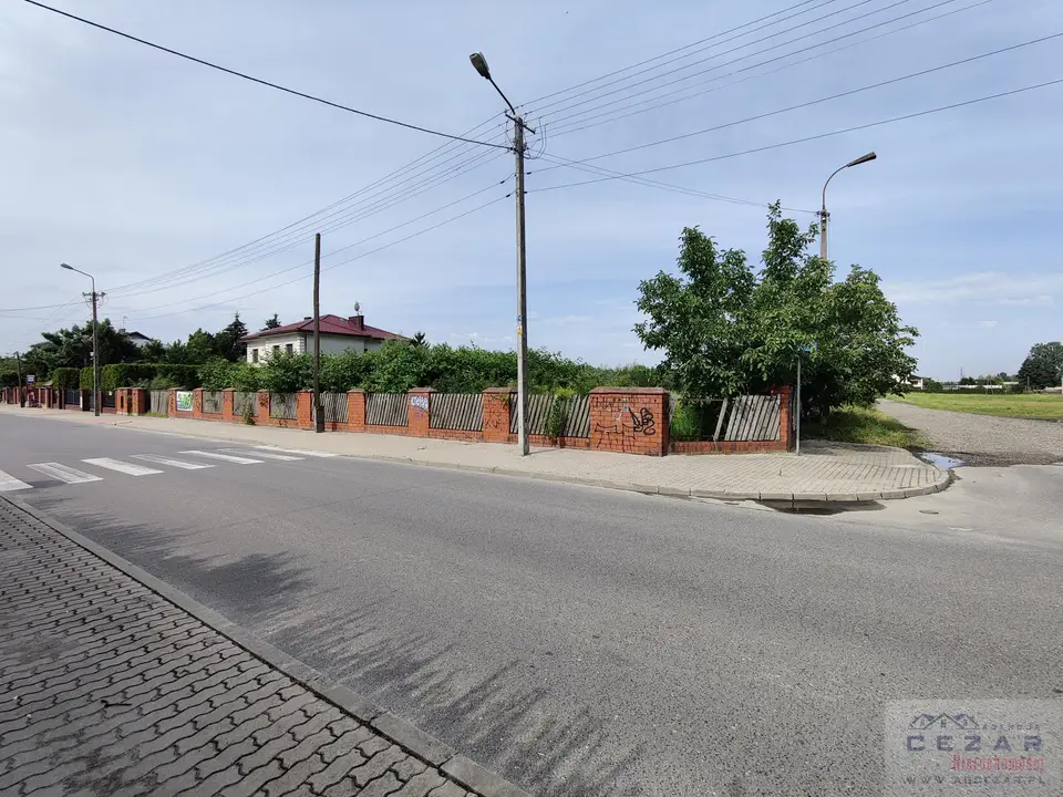 Zdjęcie 9
