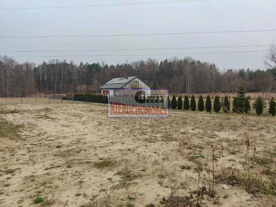 Zdjęcie 2