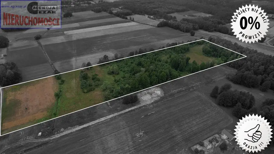 Działka budowlana i rolna 4,39 ha, Papiernia