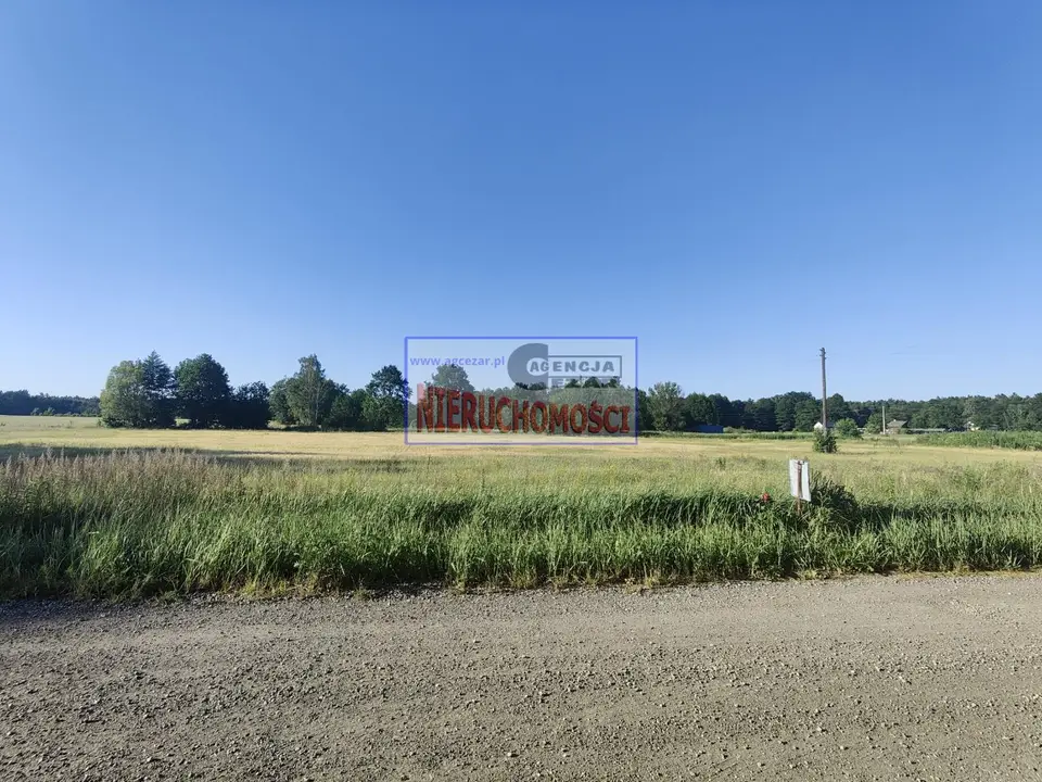 Zdjęcie 5