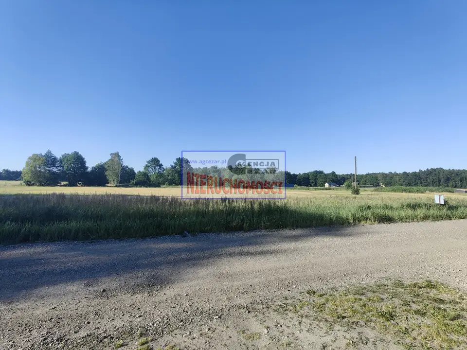 Zdjęcie 6