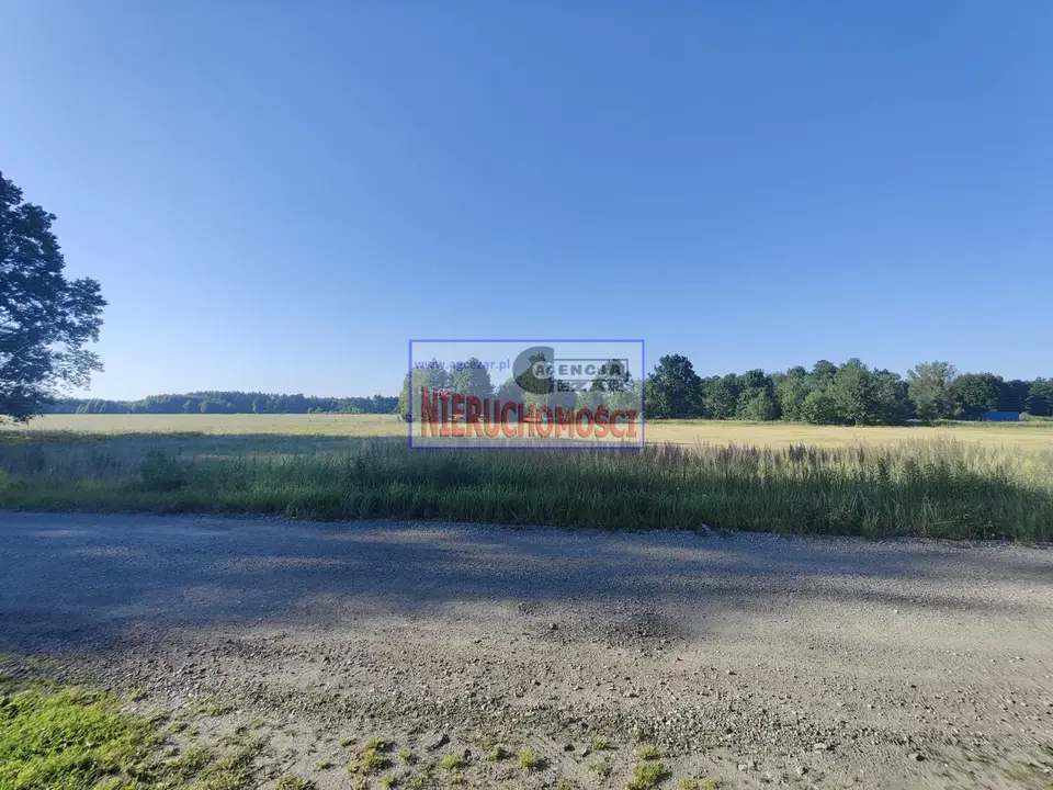Zdjęcie 7