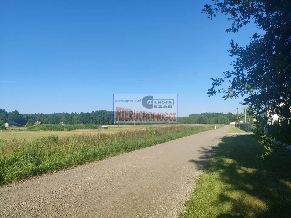 Zdjęcie 8