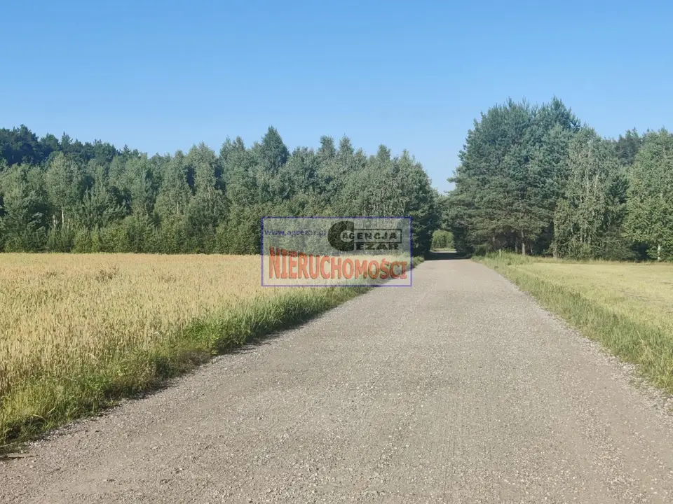 Zdjęcie 12