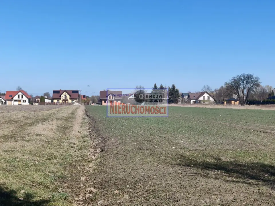 Zdjęcie 6