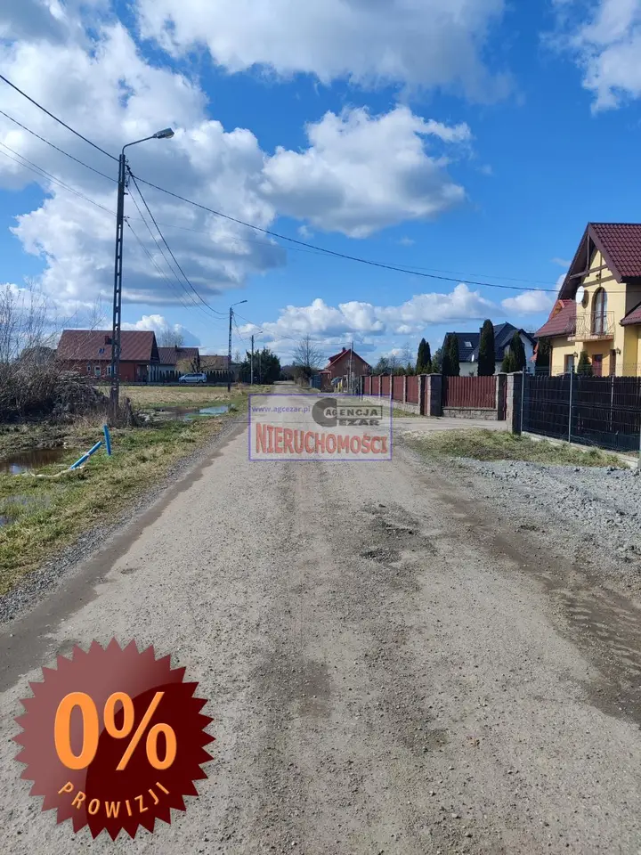 Zdjęcie 10