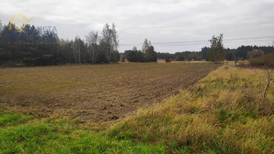 Działka budowlana i inwestycyjna 2 985 m², Budki Żelazowskie