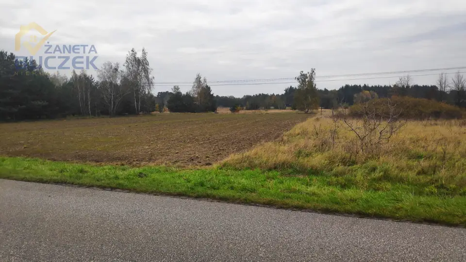 Zdjęcie 3
