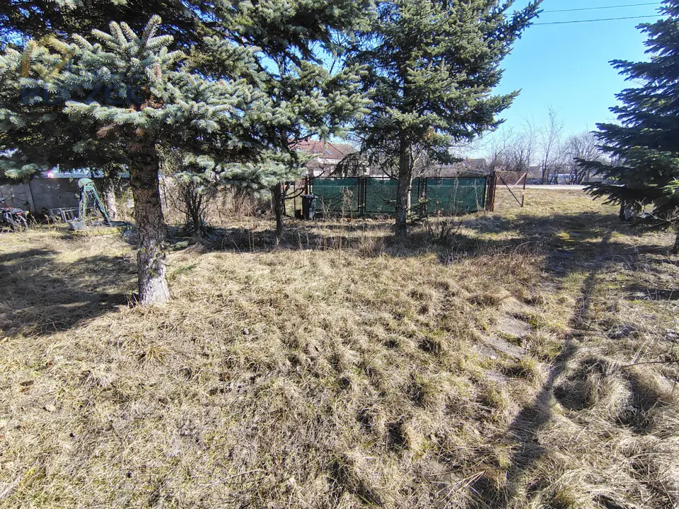 Zdjęcie 5