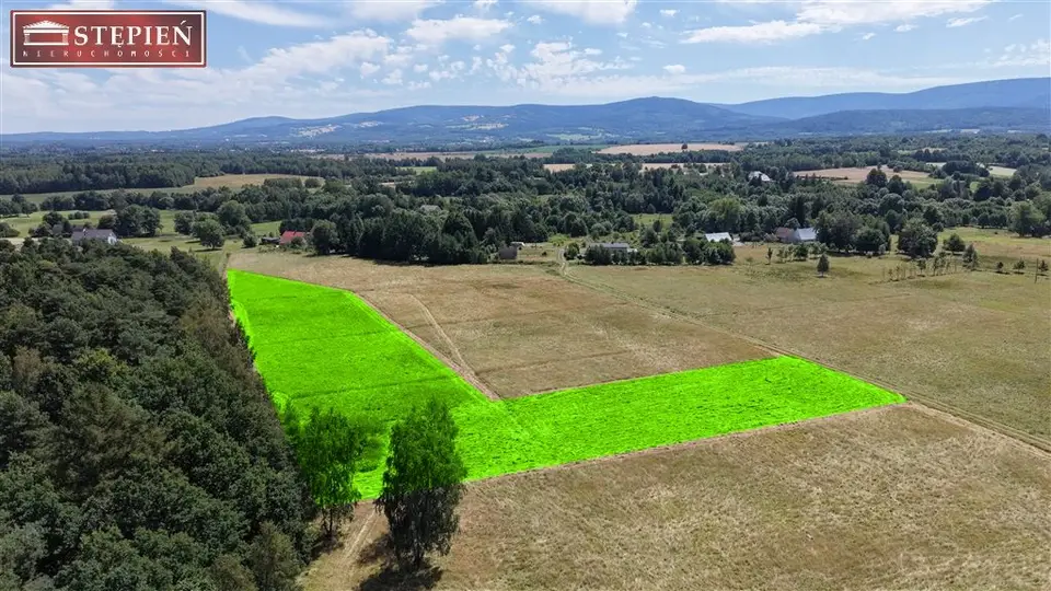 Działka budowlana i inwestycyjna 1,02 ha, Giebułtówek