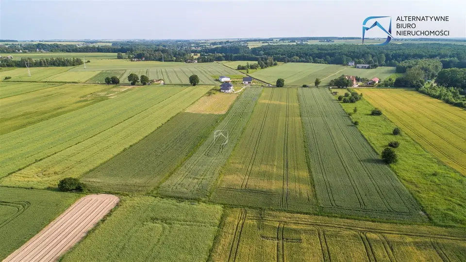 Zdjęcie 11