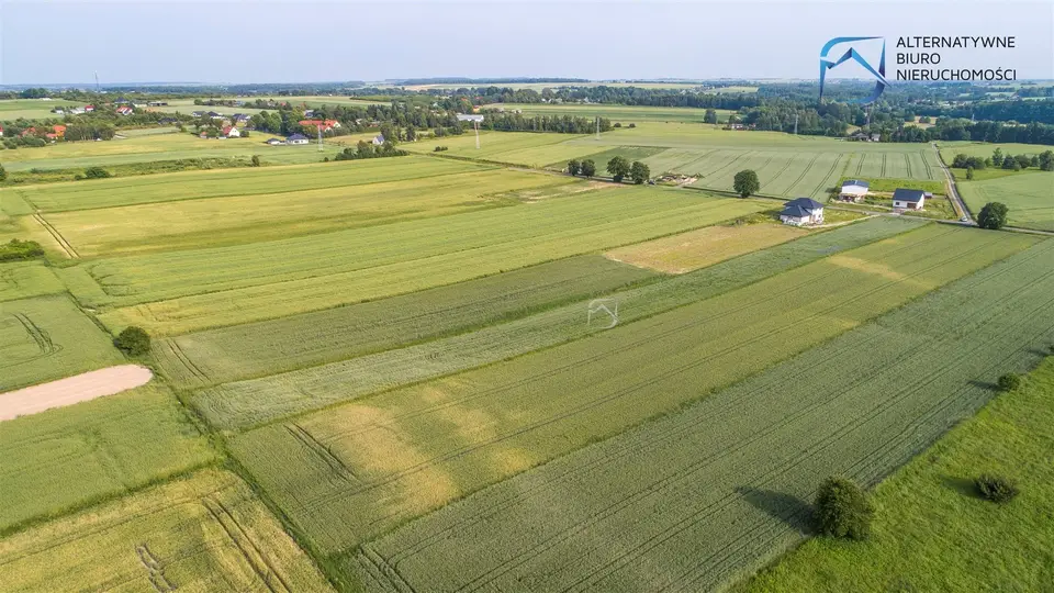 Zdjęcie 13