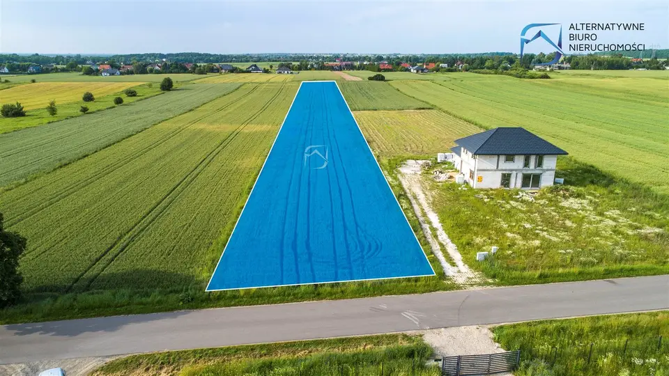 Zdjęcie 16