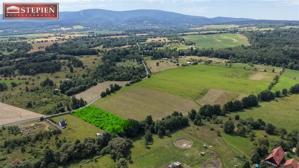 Działka budowlana 3 393 m², Wolimierz