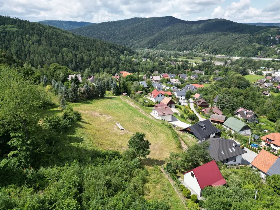 Zdjęcie 12