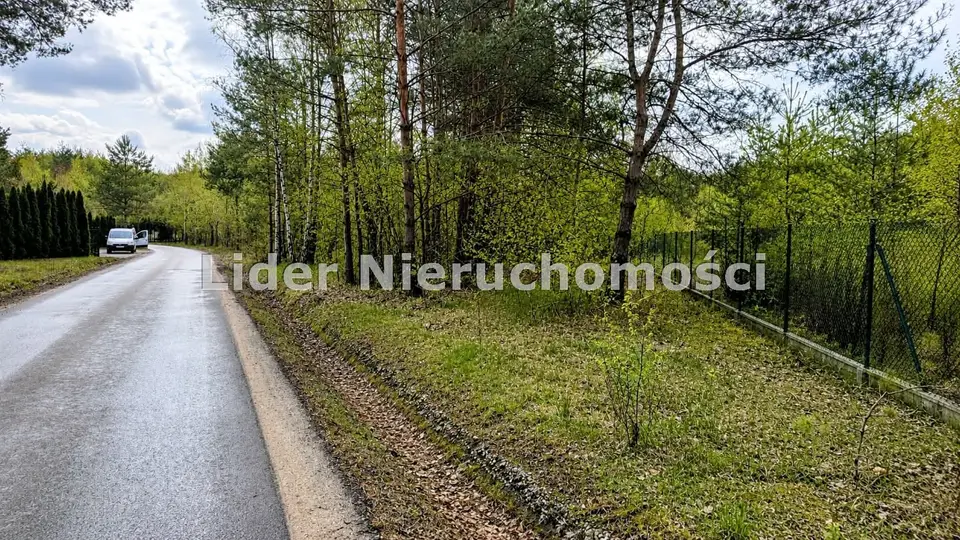 Zdjęcie 4