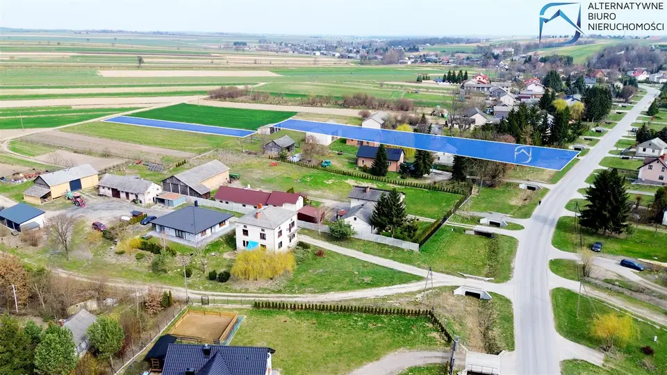 Zdjęcie 5