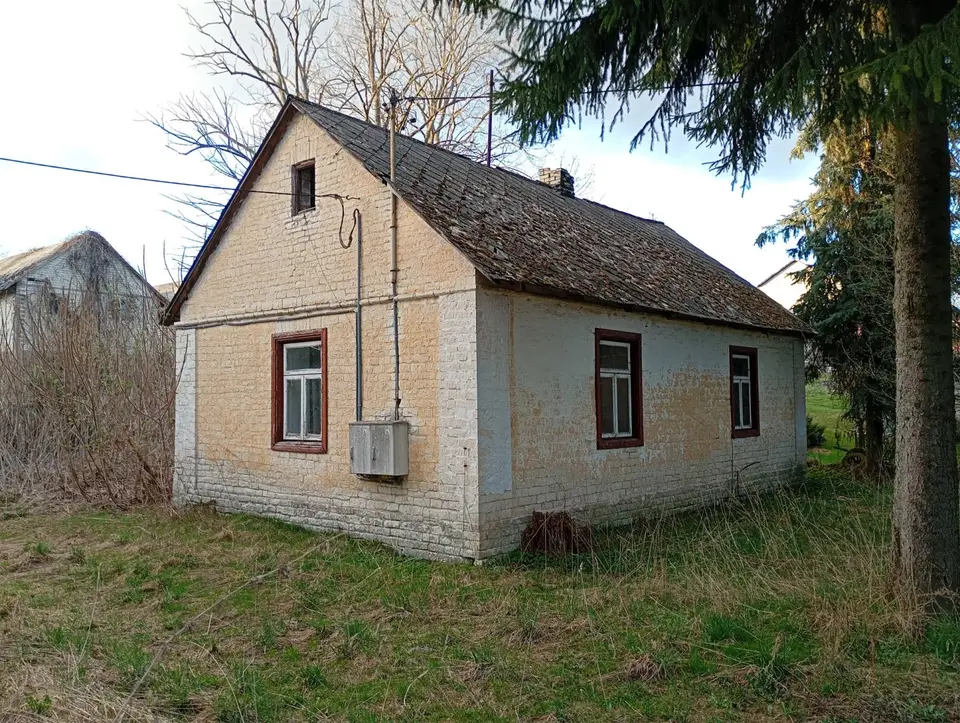 Zdjęcie 9