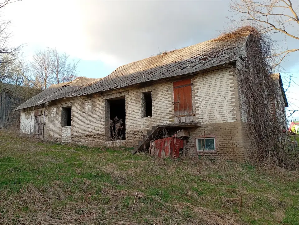 Zdjęcie 11