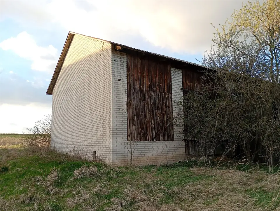 Zdjęcie 12