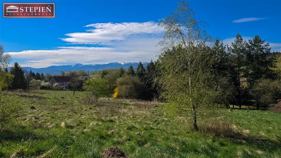 Działka budowlana 1 787 m², Wojcieszyce