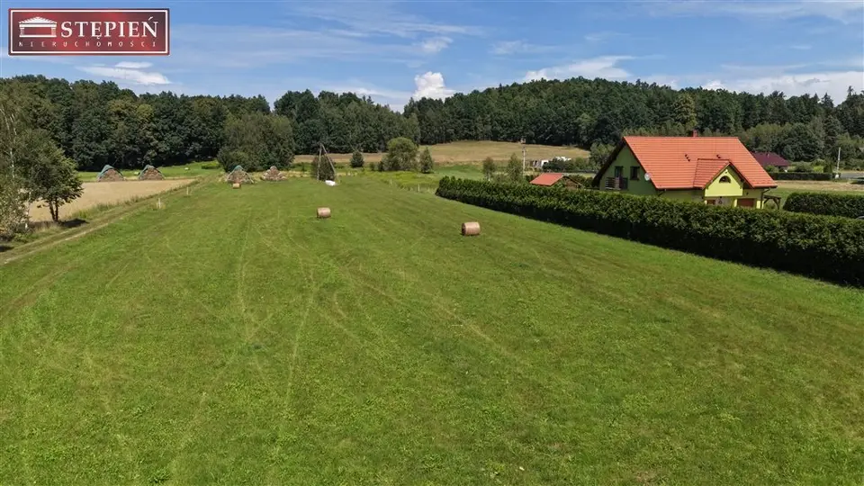 Zdjęcie 8