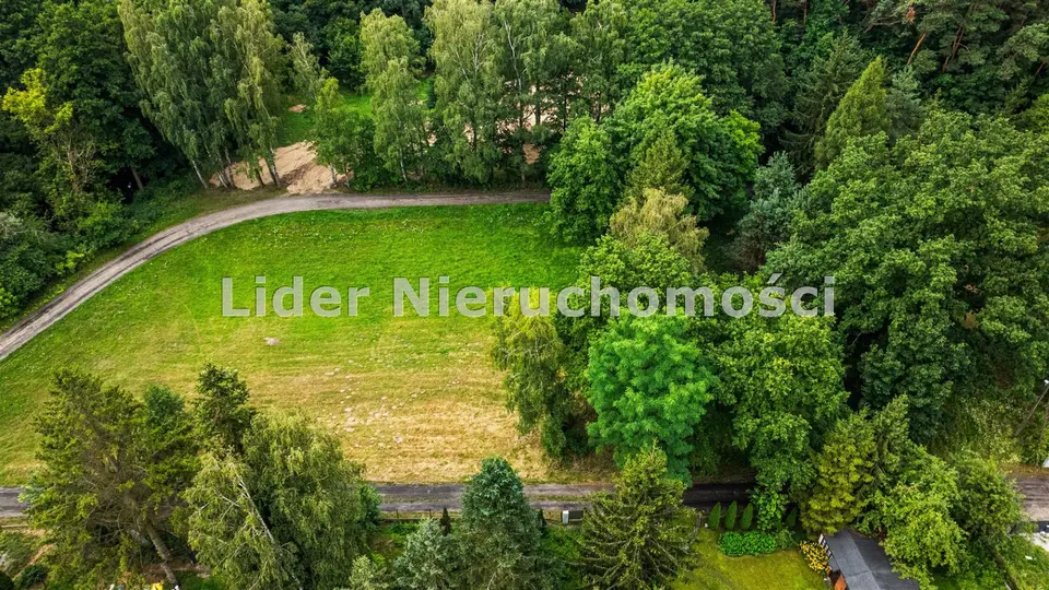 Zdjęcie 11