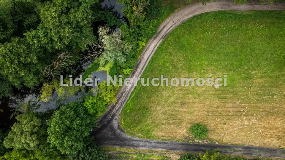 Zdjęcie 13
