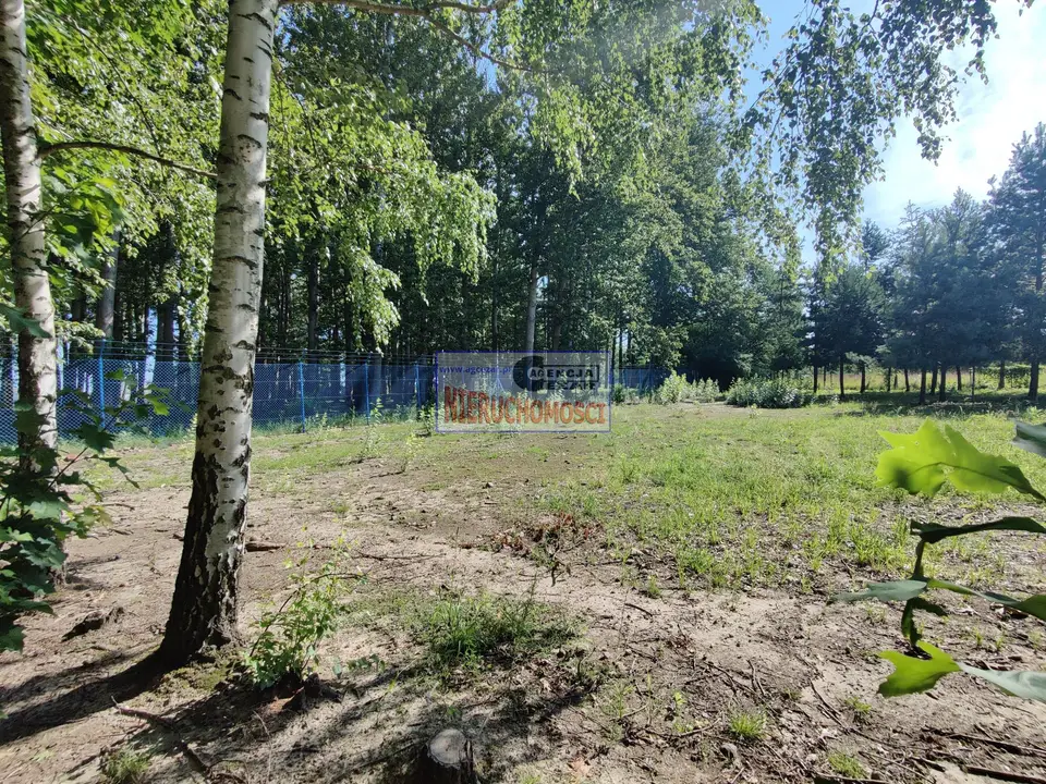 Zdjęcie 8