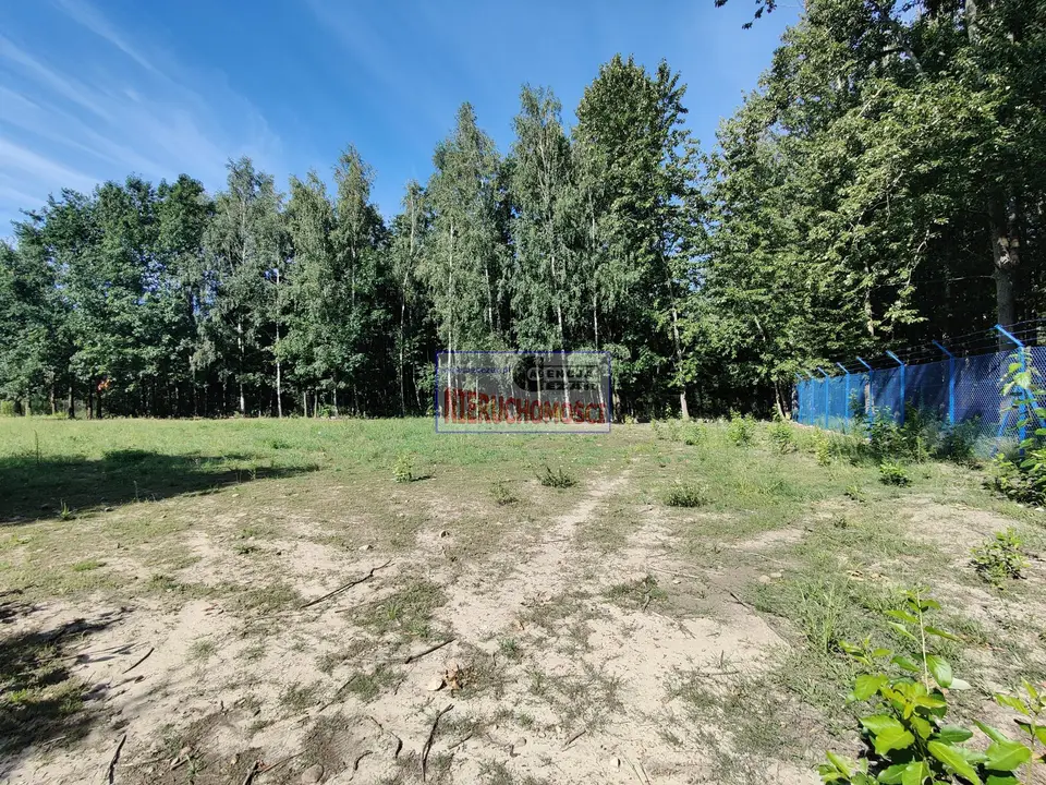 Zdjęcie 10